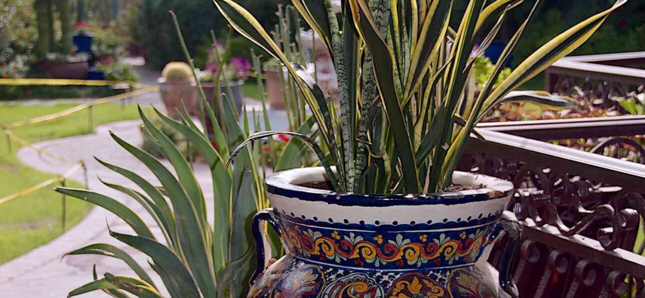 Moroccan garden pottery featuring colorful planters and vibrant designs