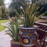 Moroccan garden pottery featuring colorful planters and vibrant designs